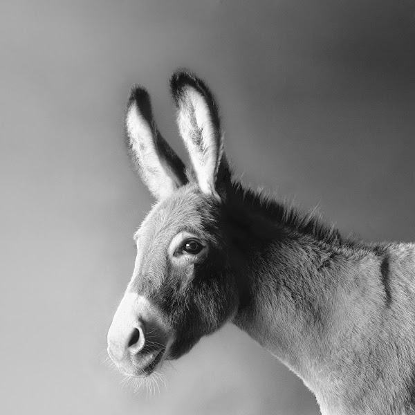 0D28CD28-7940-4077-B54D-CCD7DC2583BF