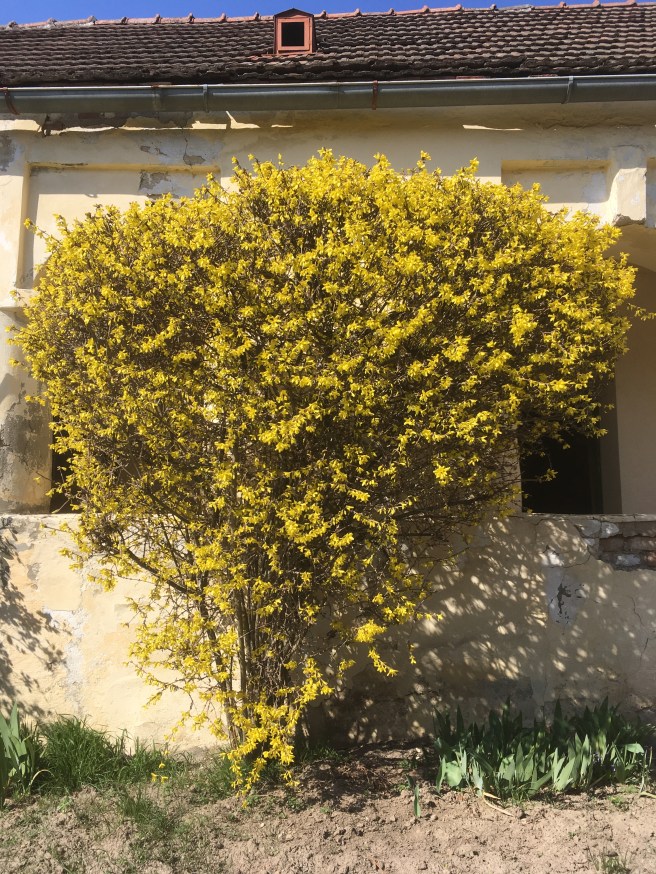 EBBCC895-DBE6-409B-AE04-C69D99EE4632