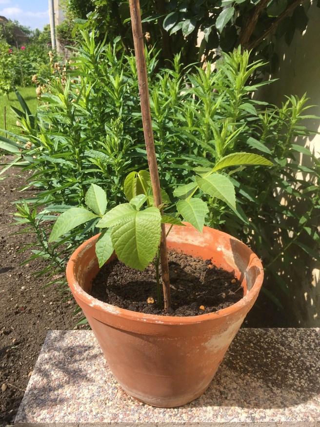 076BA579-5130-40D3-8CA7-F3255EBCF53D