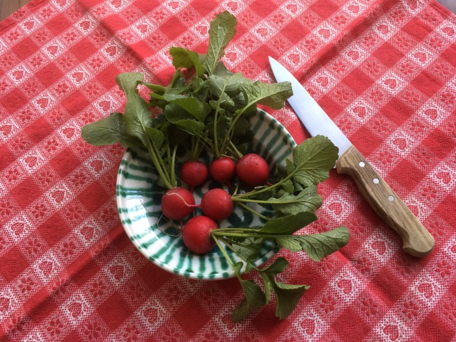 372F807D-2D84-4574-803C-B4E54C63DC5E